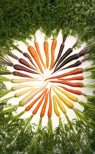 carrots-76653_640pd