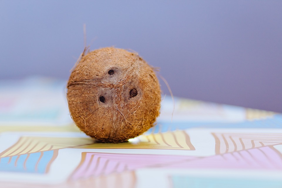coconut-933310_960_720