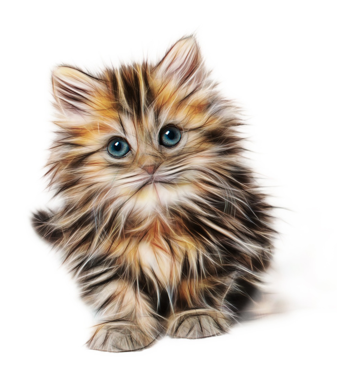 kitten-1582384_1280