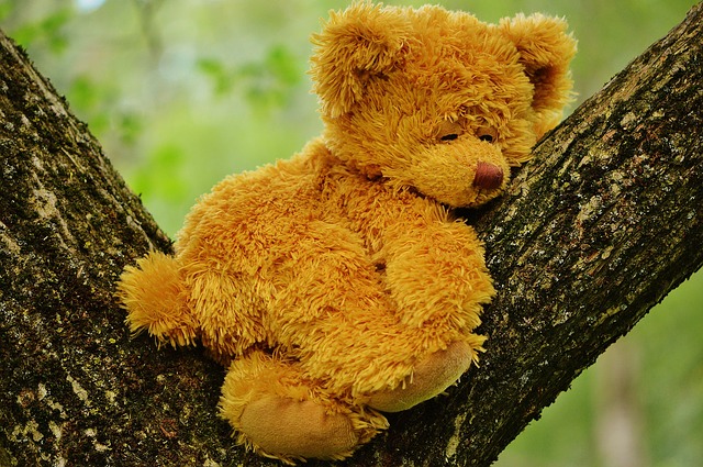 teddy-bear-792191_640