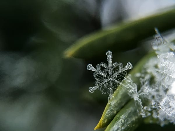 Funders, please stop trying to be unique snowflakes